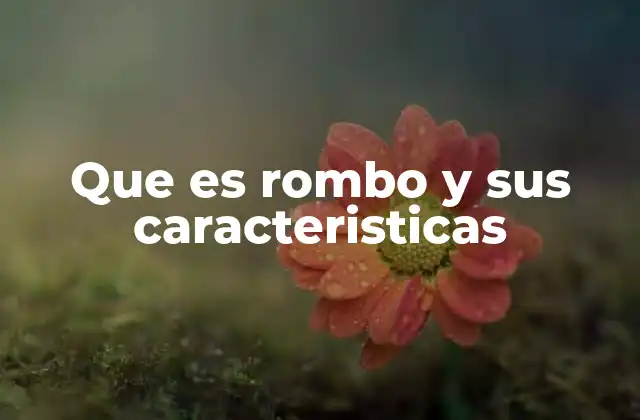Que es Rombo y Sus Caracteristicas