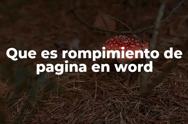 Que es Rompimiento de Pagina en Word