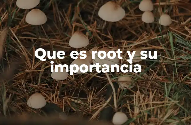 Que es Root y Su Importancia