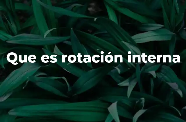 Importancia de la rotación interna en el cuerpo humano