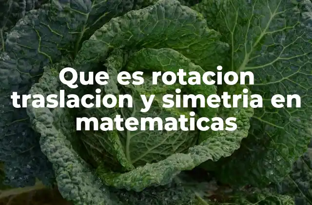 Que es Rotacion Traslacion y Simetria en Matematicas