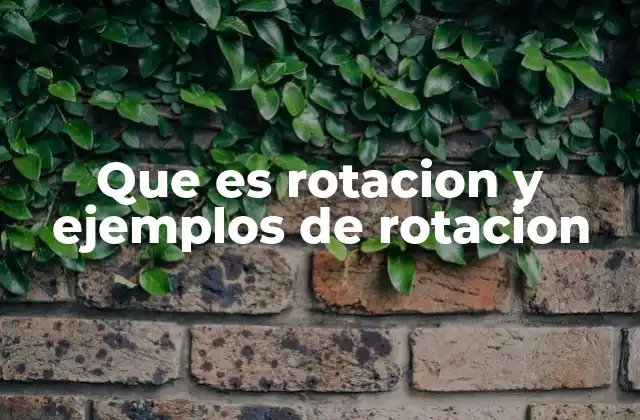 Que es Rotacion y Ejemplos de Rotacion