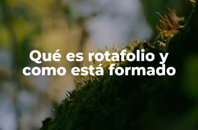 Qué es Rotafolio y como Está Formado