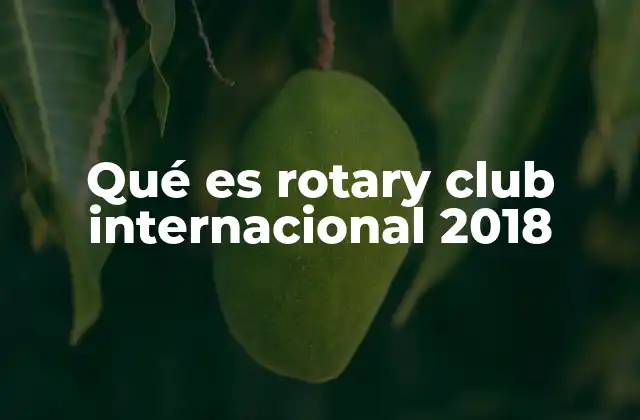 Qué es Rotary Club Internacional 2018