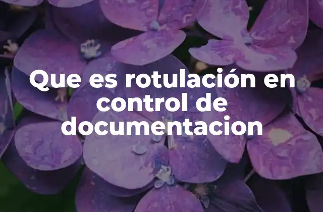 Que es Rotulación en Control de Documentacion