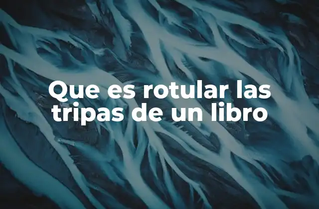 La importancia de una buena estructura interna en un libro