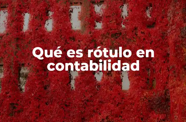 Qué es Rótulo en Contabilidad 2 Importancia del rótulo en la gestión financiera