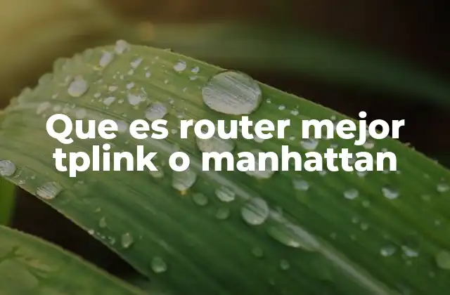 Que es Router Mejor Tplink o Manhattan