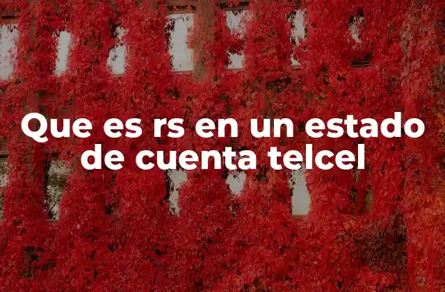 Que es Rs en un Estado de Cuenta Telcel