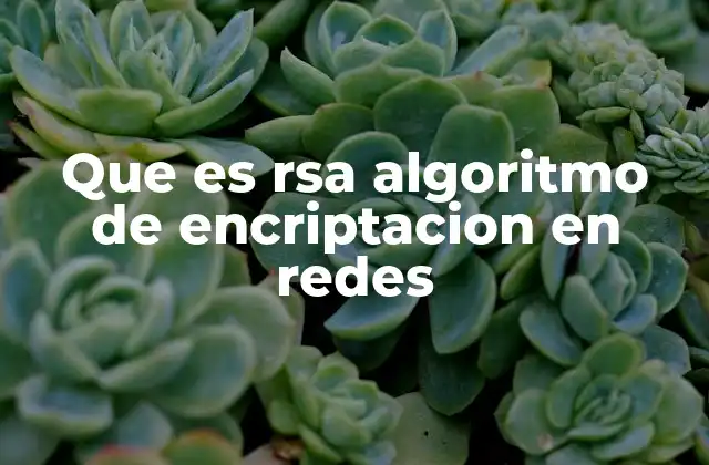 Que es Rsa Algoritmo de Encriptacion en Redes