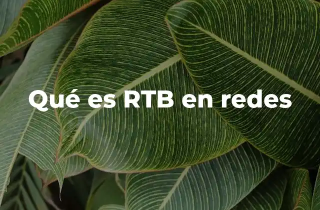 Qué es Rtb en Redes