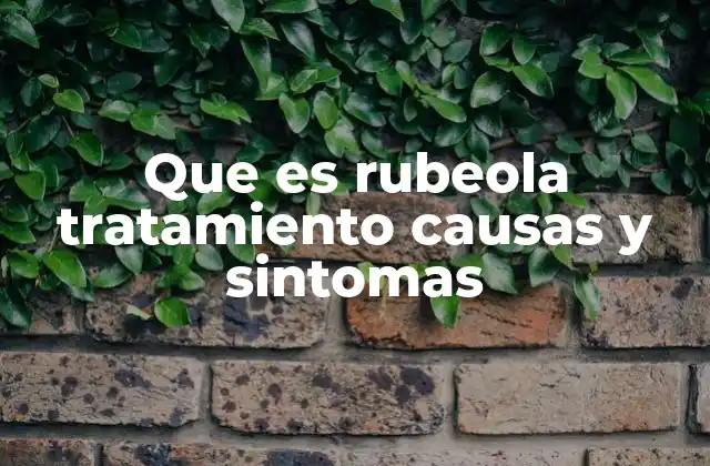 Que es Rubeola Tratamiento Causas y Sintomas