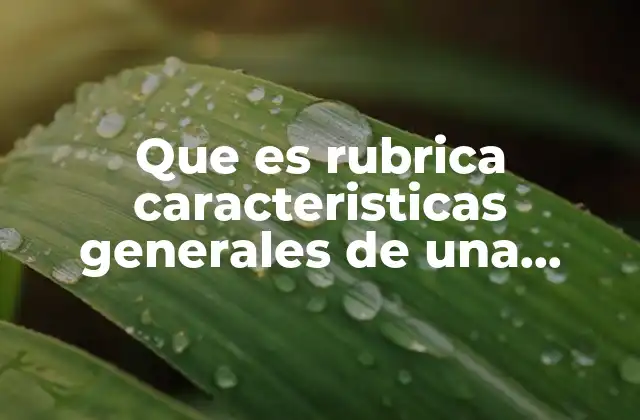 La importancia de estructurar bien una monografía académica