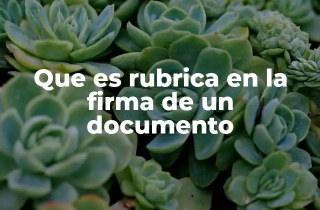 Que es Rubrica en la Firma de un Documento