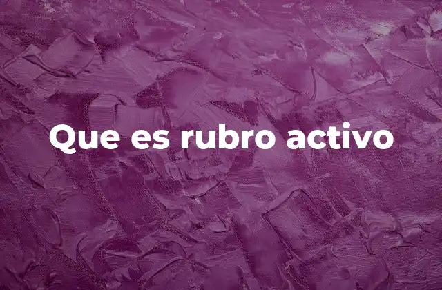 Que es Rubro Activo 2 La importancia de los rubros activos en la contabilidad
