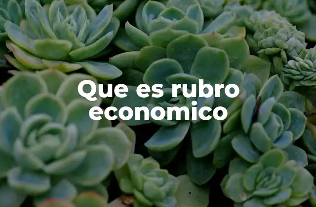 Que es Rubro Economico