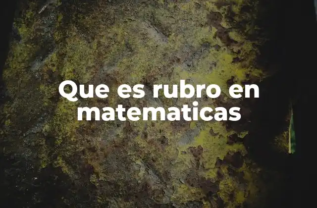 La importancia de los rubros en la organización matemática