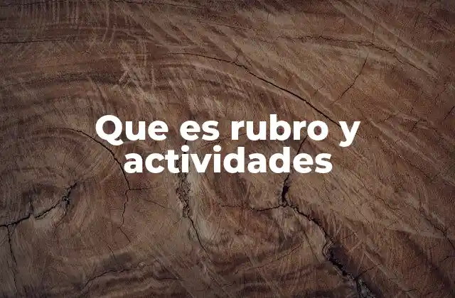 Que es Rubro y Actividades