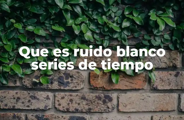 Que es Ruido Blanco Series de Tiempo