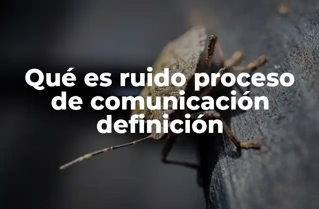 Qué es Ruido Proceso de Comunicación Definición 2 Factores que generan ruido en la comunicación humana