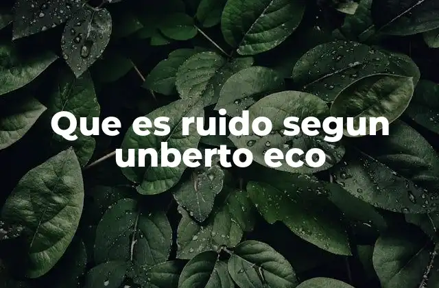 Que es Ruido Segun Unberto Eco