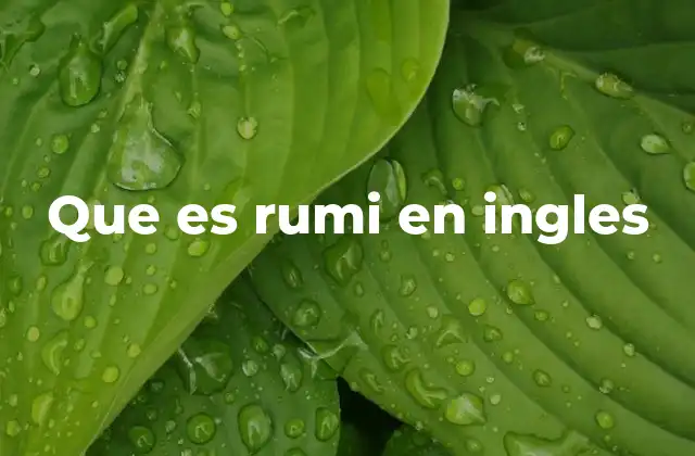Que es Rumi en Ingles