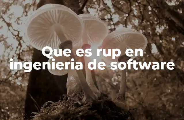 Que es Rup en Ingenieria de Software 2 El enfoque iterativo y cómo influye en el desarrollo de software
