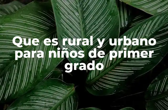 Que es Rural y Urbano para Niños de Primer Grado