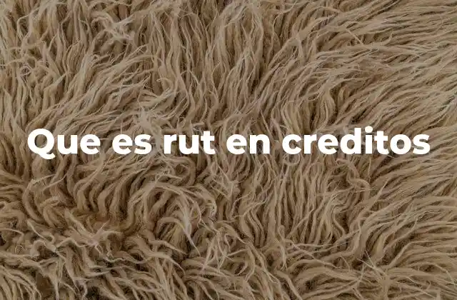 Que es Rut en Creditos