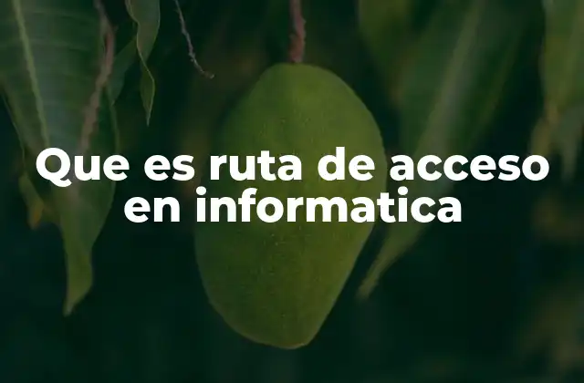 Que es Ruta de Acceso en Informatica