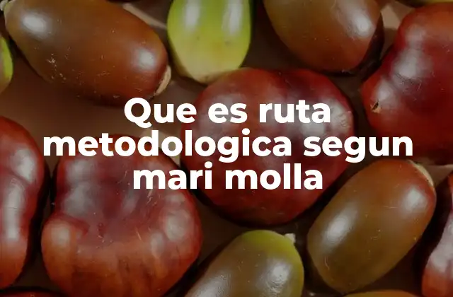 Que es Ruta Metodologica Segun Mari Molla