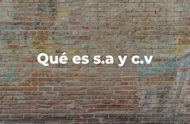 Qué es S.a y C.v