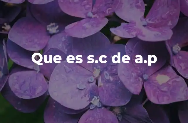 Que es S.c de A.p