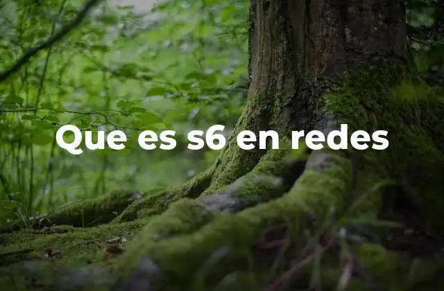 Que es S6 en Redes 2 El papel del protocolo S6 en las redes modernas