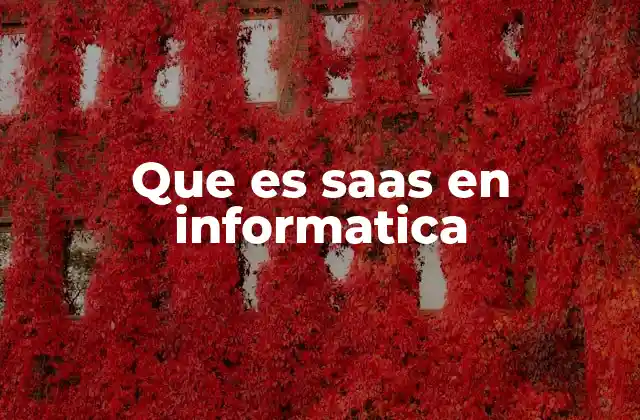 Que es Saas en Informatica
