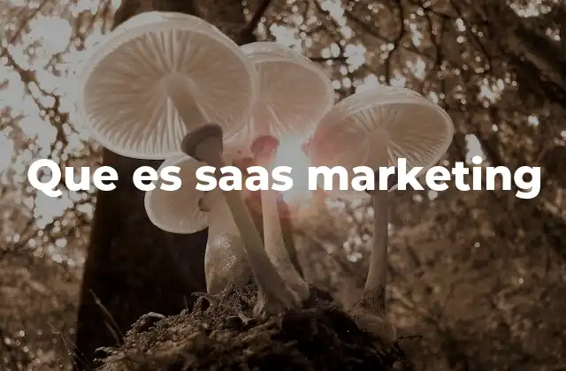 Que es Saas Marketing