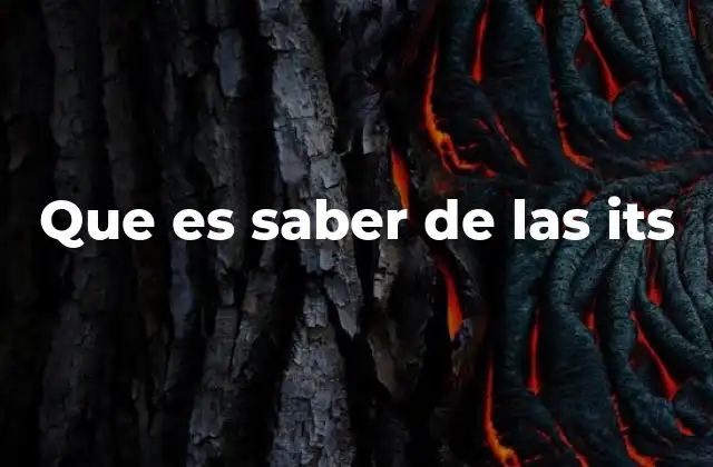 Que es Saber de las Its