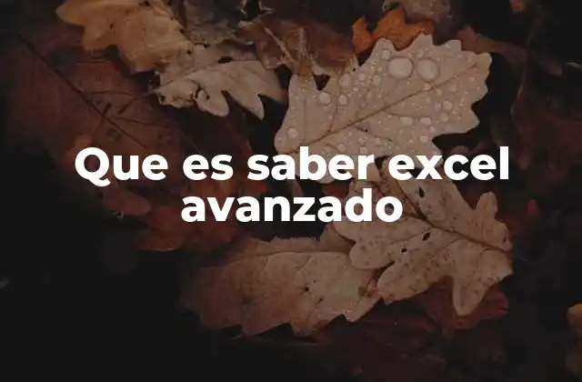 Que es Saber Excel Avanzado