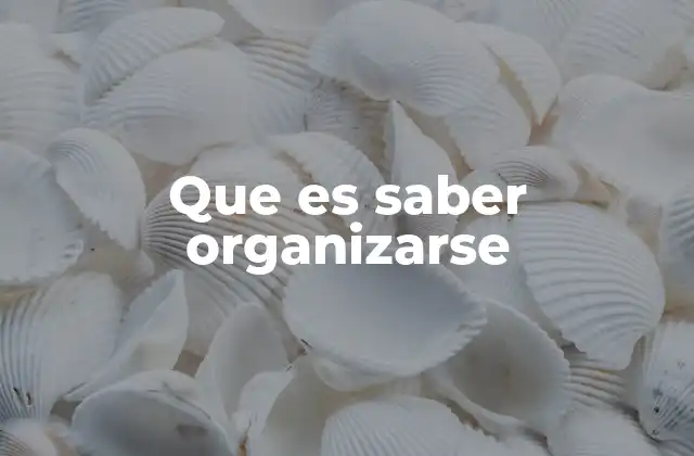 La importancia de la organización en la vida moderna