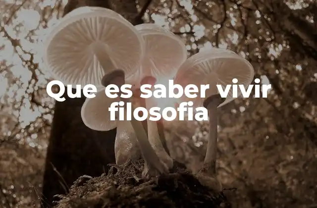 Que es Saber Vivir Filosofia