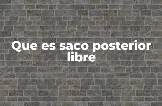 Que es Saco Posterior Libre