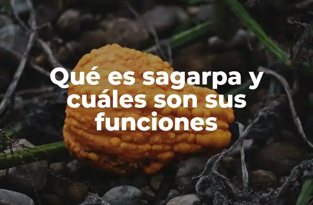 Qué es Sagarpa y Cuáles Son Sus Funciones