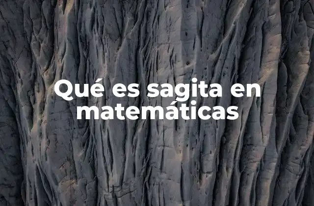 Qué es Sagita en Matemáticas