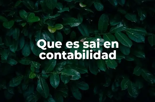 Que es Sai en Contabilidad