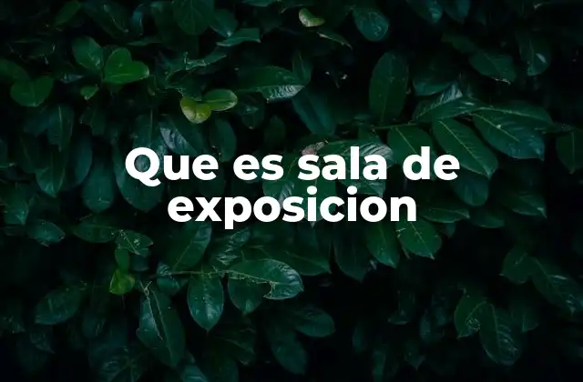 Que es Sala de Exposicion