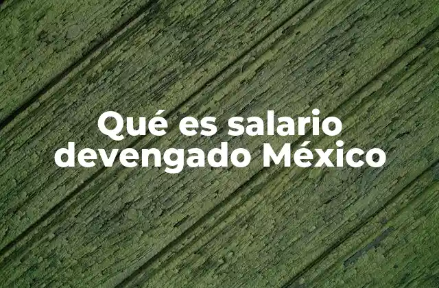 Qué es Salario Devengado México