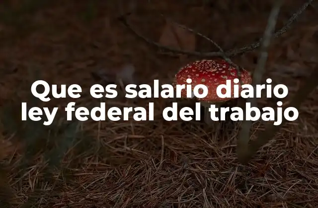 Que es Salario Diario Ley Federal Del Trabajo