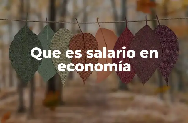 Que es Salario en Economía