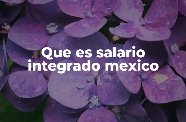 Que es Salario Integrado Mexico