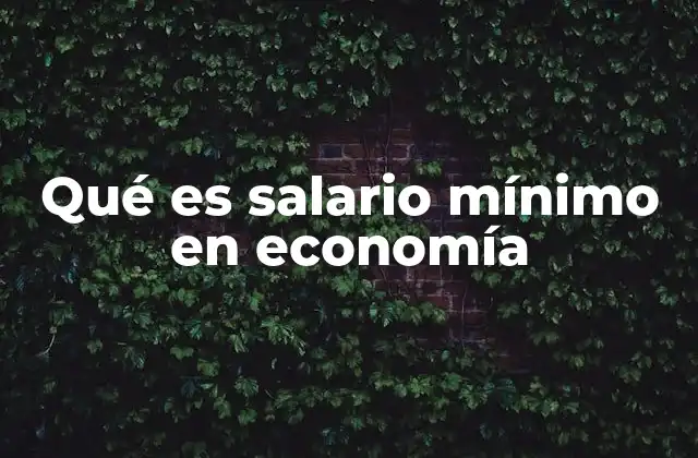 Qué es Salario Mínimo en Economía